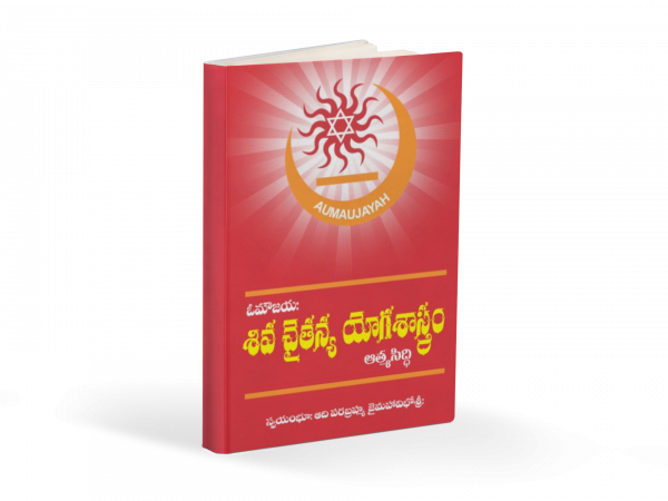 శివ చైతన్య యోగ శాస్త్రం