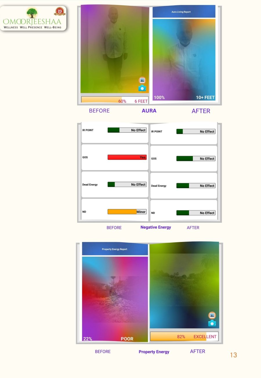 Aura Reports - Shree Purushartha Chakram